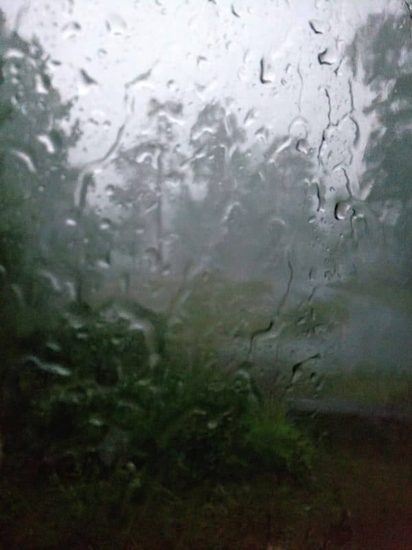 Rainy day